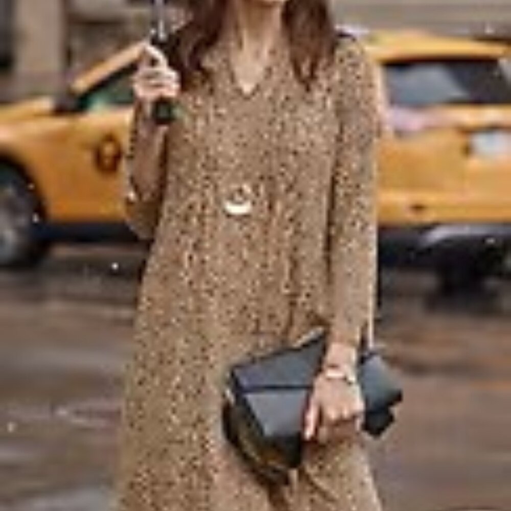 J Jill WE Pintucked Leopard Dress - Medium Petite